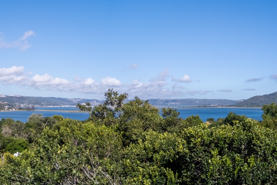 0 Bedroom Property for Sale in Belvidere Estate Western Cape